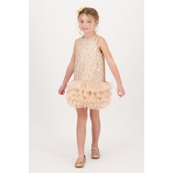 Girls Beige Embellished Tulle Dress