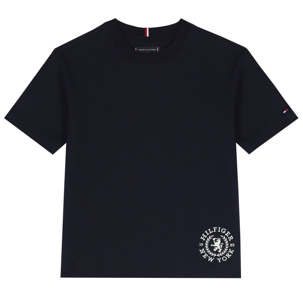 Navy Tommy Hilfiger tee shirt / tshirt, men's / boy's branded